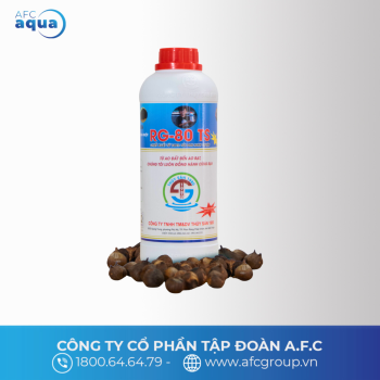 CAO TỎI ĐEN RG80-TS