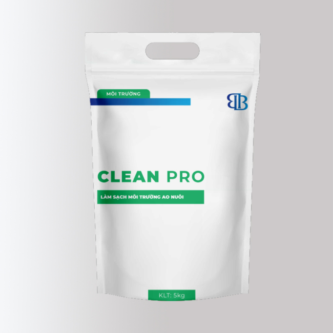CLEAN PRO