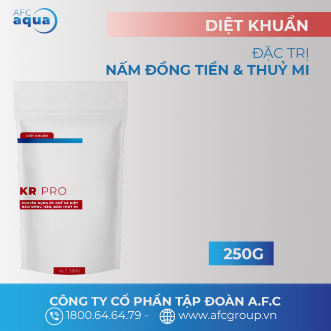 KR PRO 