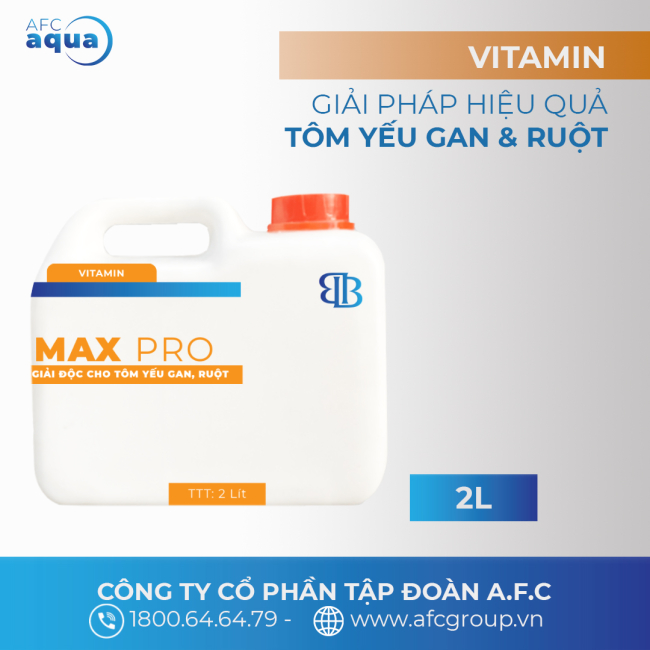 MAX PRO