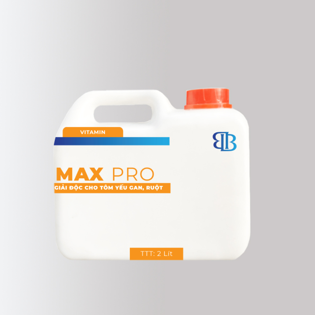 MAX PRO