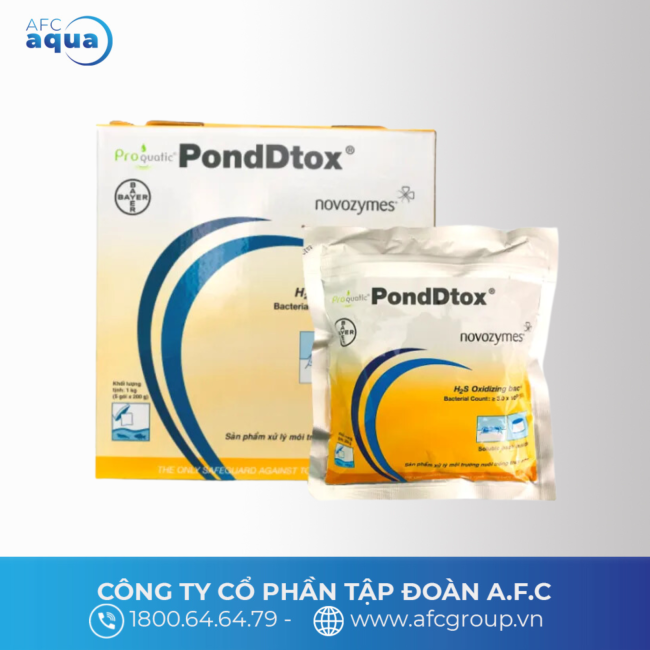 PONDDTOX 