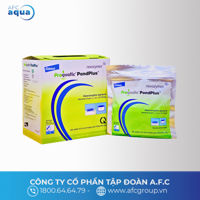 PONPLUS 