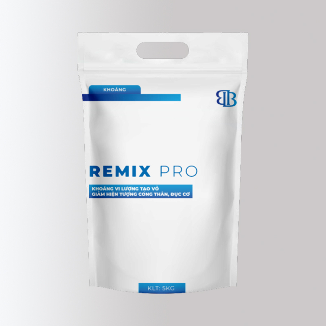 REMIX PRO